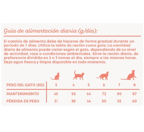 Harper & Bone pienso para gatos STERILISED FRESH MARKET con aves, cordero y cerdo ibérico de 2 kg