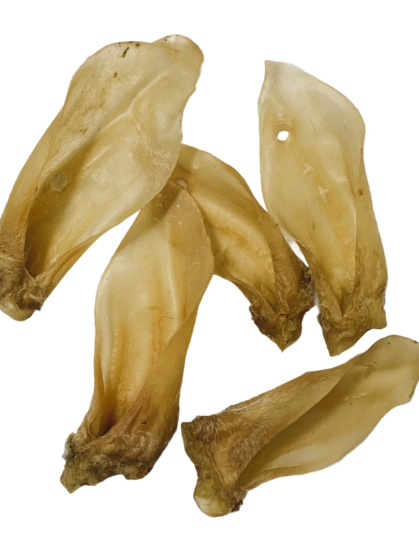 Snack natural para perro, oreja de cordero (bolsa 4 ud.)